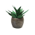 Kwiat w doniczce Aloes 28cm